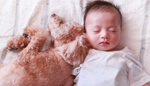 エアコン掃除で子供のアレルギーは改善する?【鼻炎・咳・目・皮膚